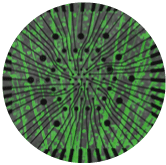 retina-image1